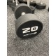 Master Fitness Hantlar, Polyuretan Master Fitness Hantlar, Polyuretan