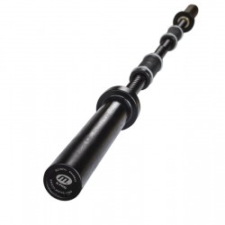 MASTER FITNESS PROPELLER BAR 180