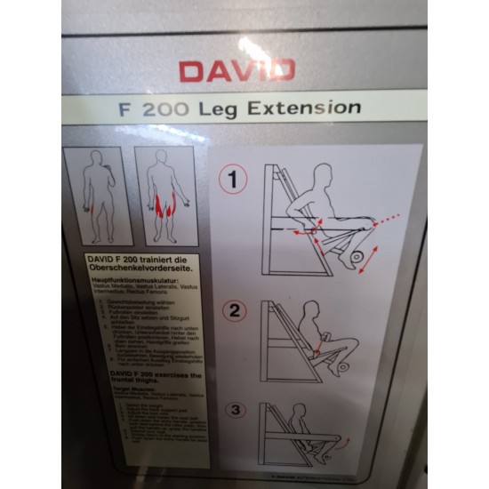 David F200 Leg Extension