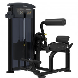 IMPULSE IT9532 BACK EXT 134 KG