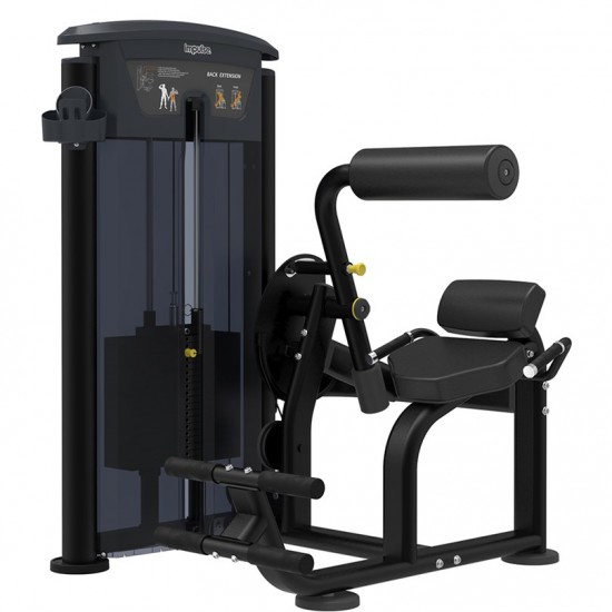 IMPULSE IT9532 BACK EXT 134 KG