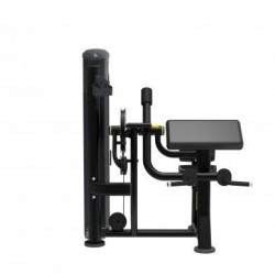 IMPULSE IT9533 Biceps Curl-Triceps
