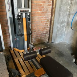 Star Trac Human Sport Total Delts Lateral/Rear-row