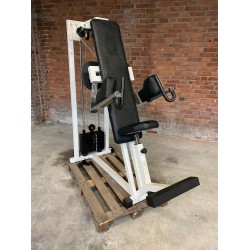 Technogym Isotonic Delts