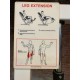 Technogym Isotonic Leg Extension