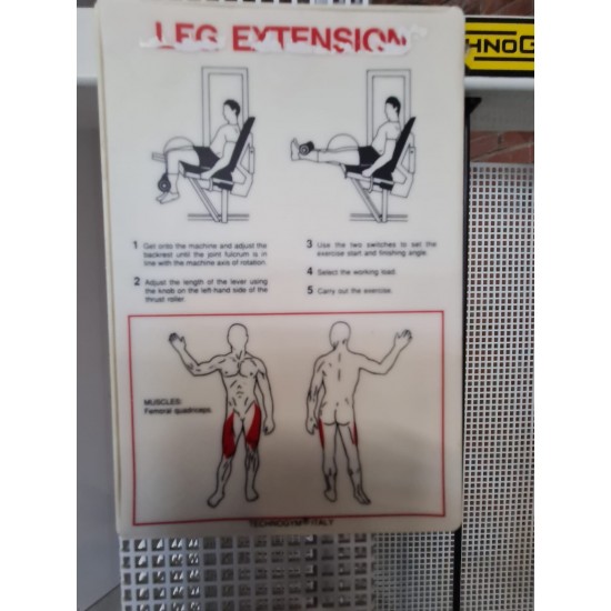 Technogym Leg Extension