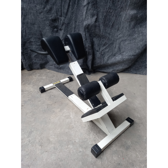 Technogym Ryggresare